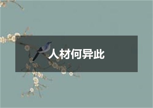 人材何异此
