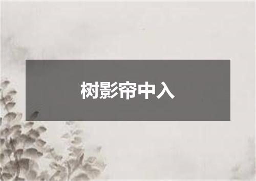 树影帘中入