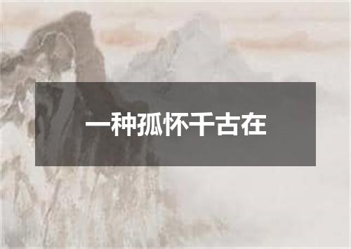 一种孤怀千古在