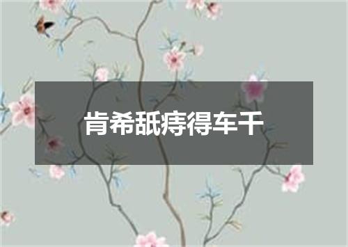肯希舐痔得车千