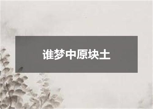 谁梦中原块土