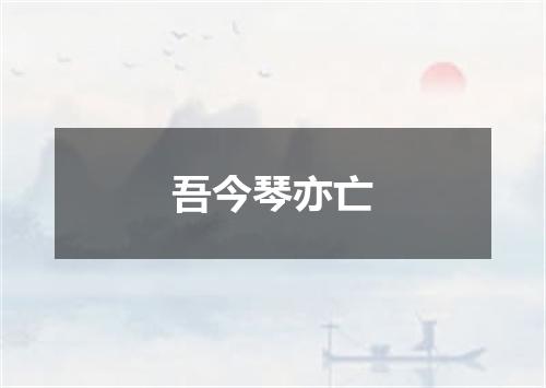吾今琴亦亡