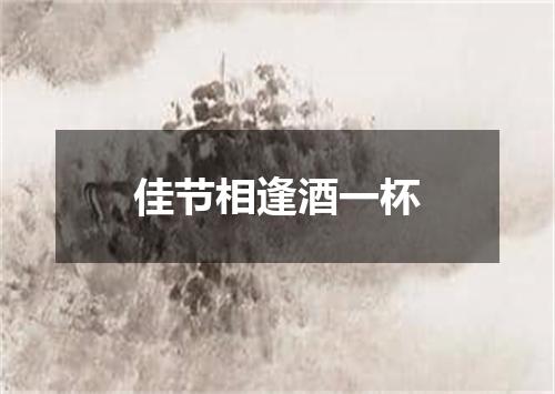 佳节相逢酒一杯