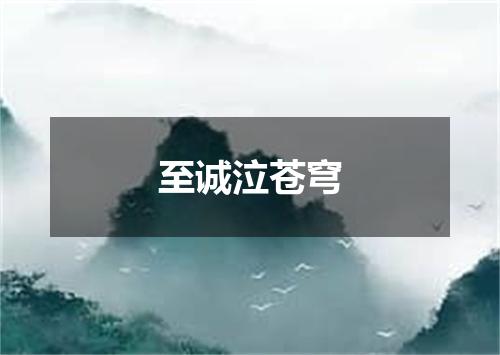 至诚泣苍穹