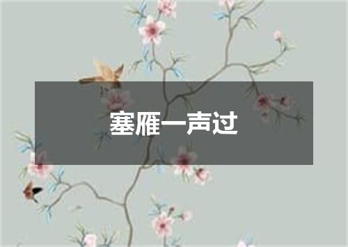 塞雁一声过