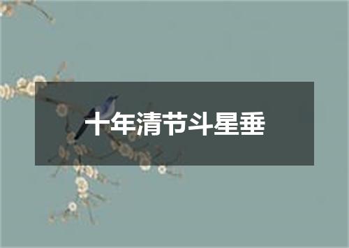 十年清节斗星垂