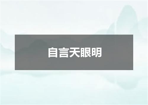自言天眼明