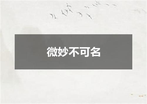 微妙不可名