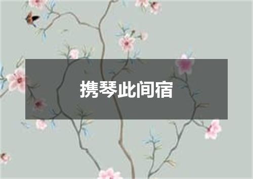携琴此间宿