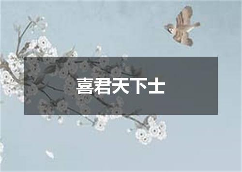 喜君天下士