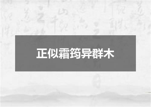 正似霜筠异群木