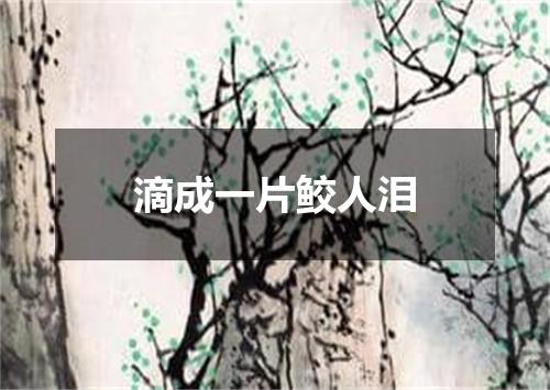 滴成一片鲛人泪
