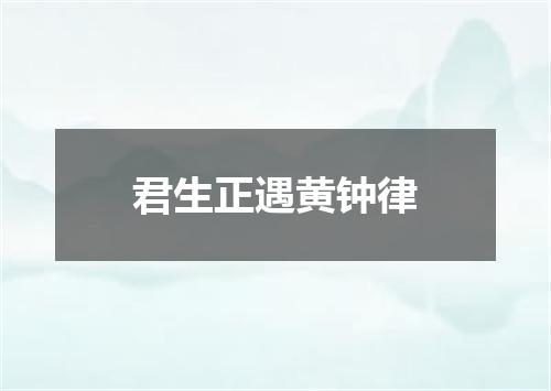 君生正遇黄钟律