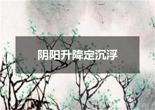 阴阳升降定沉浮