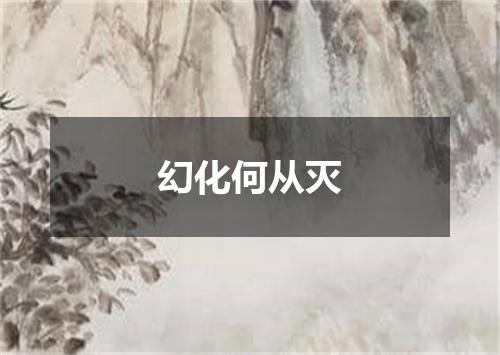 幻化何从灭