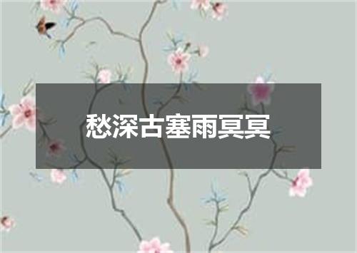 愁深古塞雨冥冥