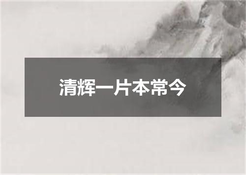 清辉一片本常今