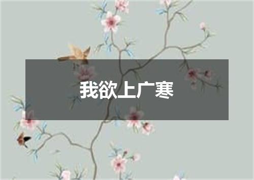 我欲上广寒