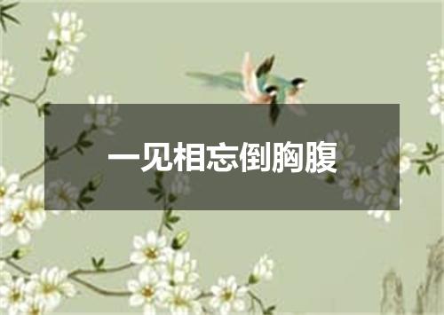 一见相忘倒胸腹