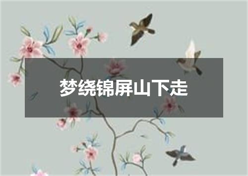 梦绕锦屏山下走