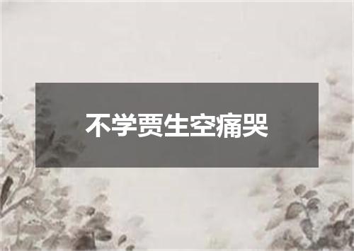 不学贾生空痛哭