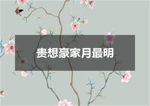 贵想豪家月最明