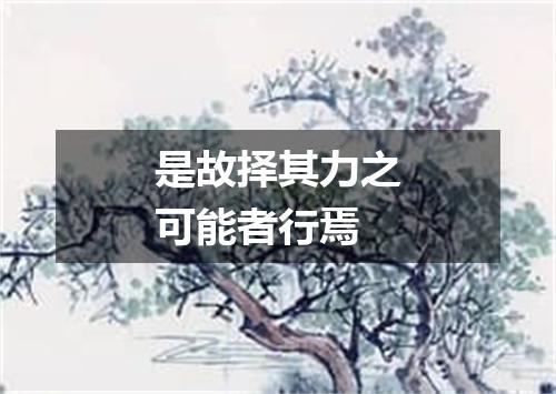 是故择其力之可能者行焉