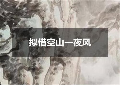 拟借空山一夜风