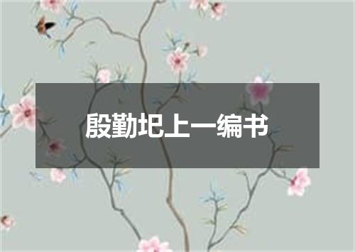 殷勤圯上一编书