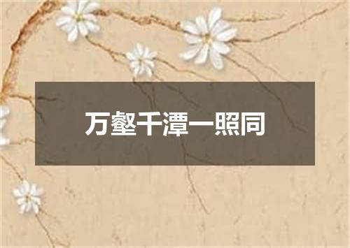 万壑千潭一照同