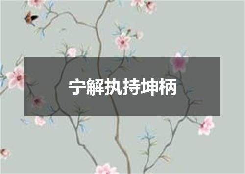 宁解执持坤柄