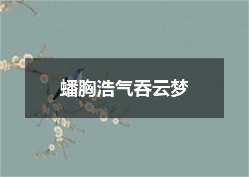 蟠胸浩气吞云梦