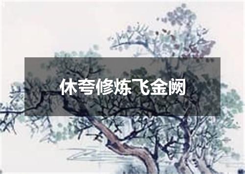 休夸修炼飞金阙