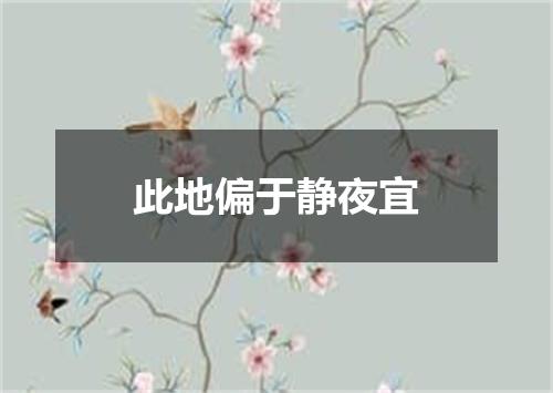 此地偏于静夜宜