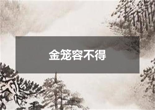 金笼容不得
