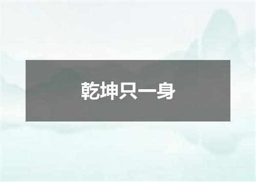 乾坤只一身