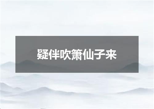 疑伴吹箫仙子来