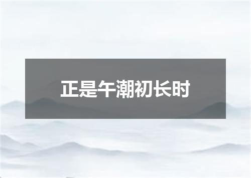 正是午潮初长时