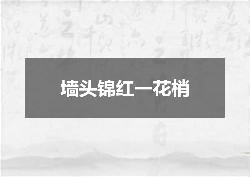 墙头锦红一花梢