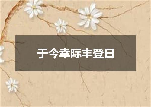 于今幸际丰登日