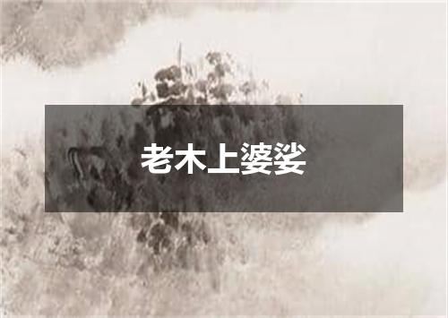 老木上婆娑