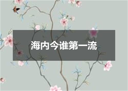 海内今谁第一流