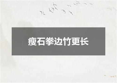瘦石拳边竹更长