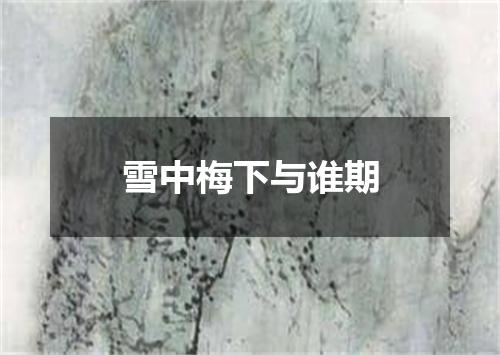 雪中梅下与谁期