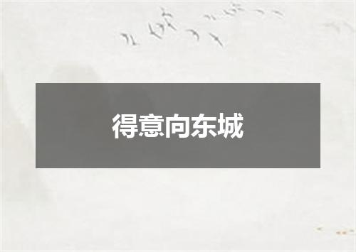 得意向东城