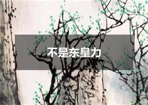 不是东皇力