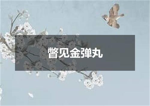 瞥见金弹丸