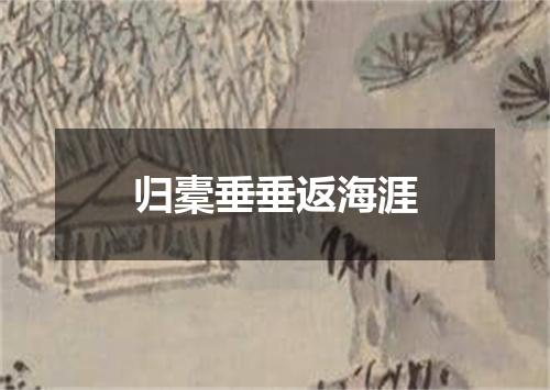 归橐垂垂返海涯