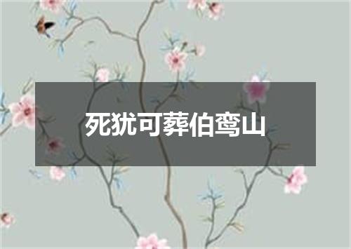 死犹可葬伯鸾山