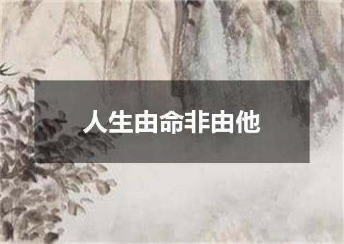人生由命非由他